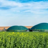 modern-biogas-plant-between-rapeseed-600nw-2447582297