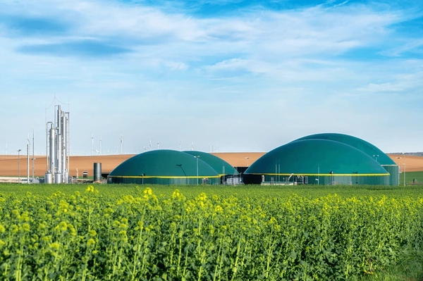 modern-biogas-plant-between-rapeseed-600nw-2447582297