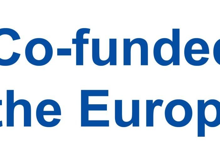 EN Co-funded by the EU_PANTONE