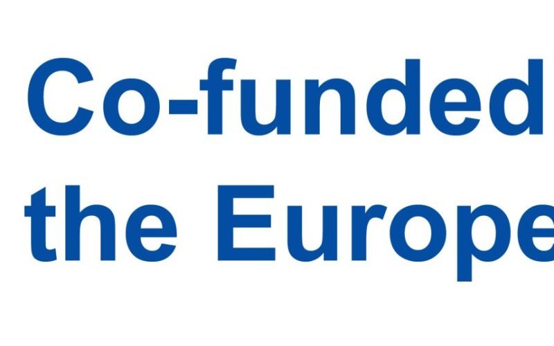 EN Co-funded by the EU_PANTONE
