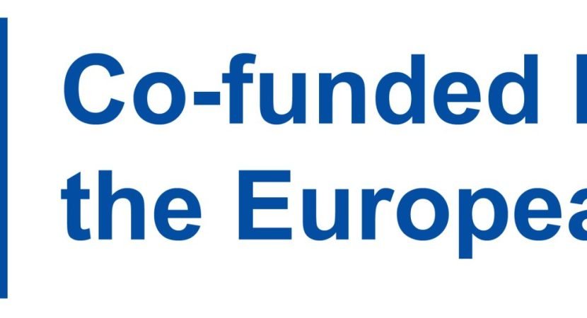 EN Co-funded by the EU_PANTONE