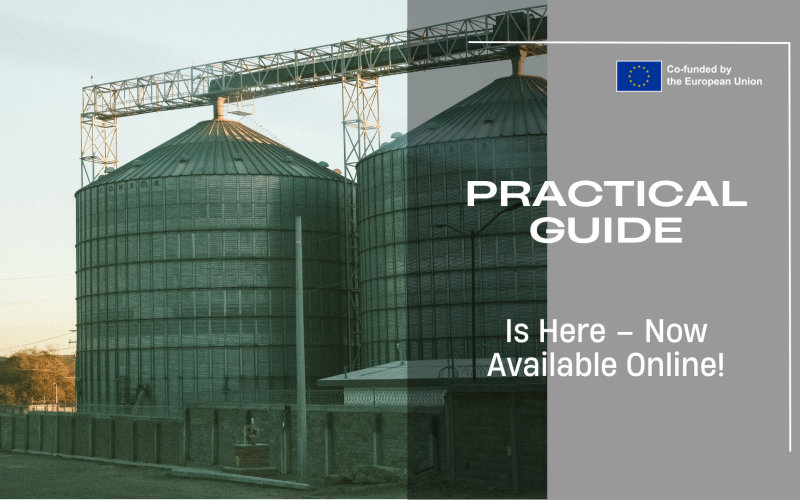 Presentation Template